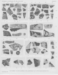 AMPHORA (?), FRAGMENTS (EAST GREEK, CLAZOMENIAN, BLACK-FIGURE)
