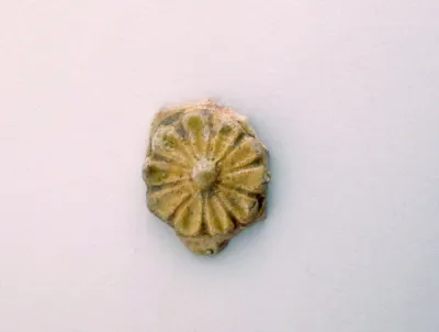 Vase fragment