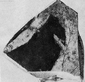 CUP, FRAGMENT (ATHENIAN, RED-FIGURE)
