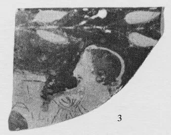 SKYPHOS, FRAGMENT (ATHENIAN, RED-FIGURE)