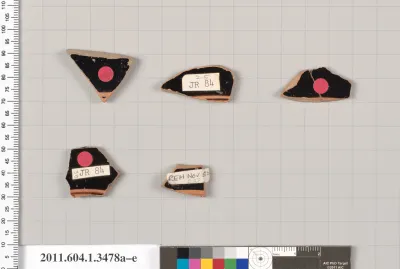 Terracotta fragments of kylikes (drinking cups)