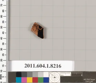 Terracotta fragment of a kylix (drinking cup)