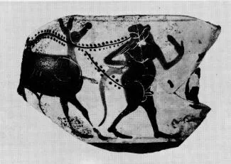 MASTOID, FRAGMENT (ATHENIAN, BLACK-FIGURE)