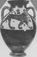 AMPHORA, BELLY (ATHENIAN, BLACK-FIGURE)
