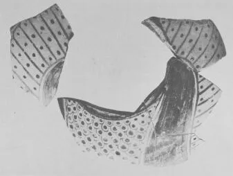 OINOCHOE, FRAGMENTS (EAST GREEK, FIKELLURA)