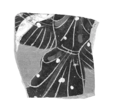 Attic Black-Figure Siana Cup Fragment