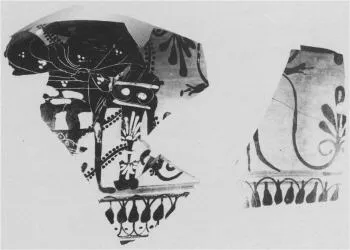 AMPHORA, NECK, FRAGMENTS (ATHENIAN, BLACK-FIGURE)
