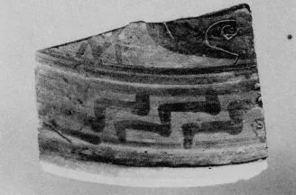 LID, FRAGMENT (PROTOATTIC)