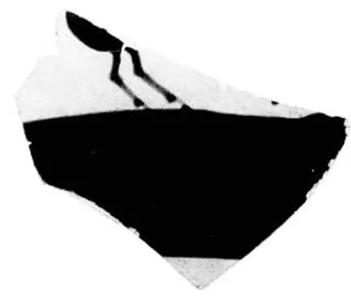 CUP, LITTLE MASTER BAND, FRAGMENT (ATHENIAN, BLACK-FIGURE)