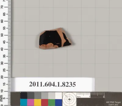 Terracotta fragment of a kylix (drinking cup)