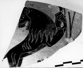AMPHORA, NECK, FRAGMENT (ATHENIAN, BLACK-FIGURE)