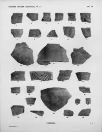 VARIOUS (VUCEDOL)