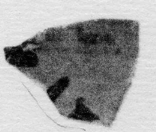 CUP, FRAGMENT (ATHENIAN, BLACK-FIGURE)