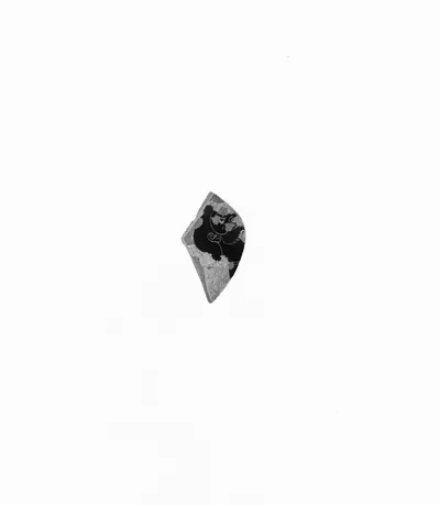Attic Black-Figure Amphora Fragment (White Ground)