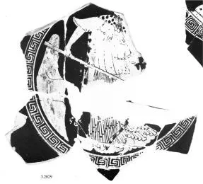 CUP (ATHENIAN, RED-FIGURE)
