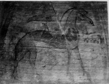 AMPHORA, BELLY (CYCLADIC, OUTLINE)
