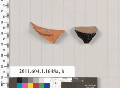 Terracotta fragments of kylikes (drinking cups)