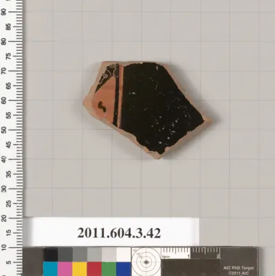 Terracotta fragment of an amphora (jar)