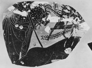 AMPHORA, NECK, FRAGMENTS (ATHENIAN, BLACK-FIGURE)