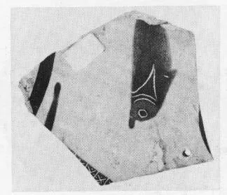 CUP, FRAGMENTS (ATHENIAN, BLACK-FIGURE)