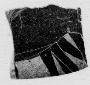 CUP, FRAGMENT (ATHENIAN, BLACK-FIGURE)