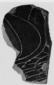 KRATER, COLUMN, FRAGMENT (CHALCIDIAN, BLACK-FIGURE)