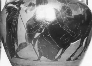 AMPHORA, NECK (ATHENIAN, BLACK-FIGURE)