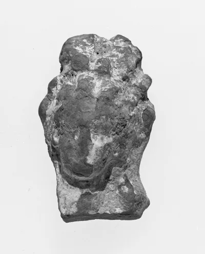 Female Head
