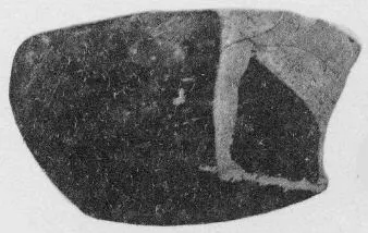 OINOCHOE (?), FRAGMENTS (ATHENIAN, RED-FIGURE)