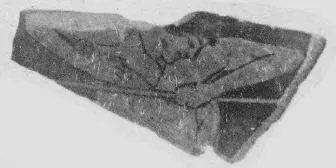 CUP, FRAGMENT (ATHENIAN, RED-FIGURE)