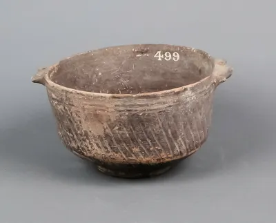 Bowl
