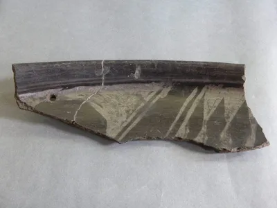 plat ; fragment