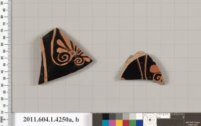 Terracotta fragments of kylikes (drinking cups)