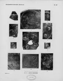 CUP, FRAGMENTS (SOUTH ITALIAN, CAMPANIAN, BLACK GLAZE)