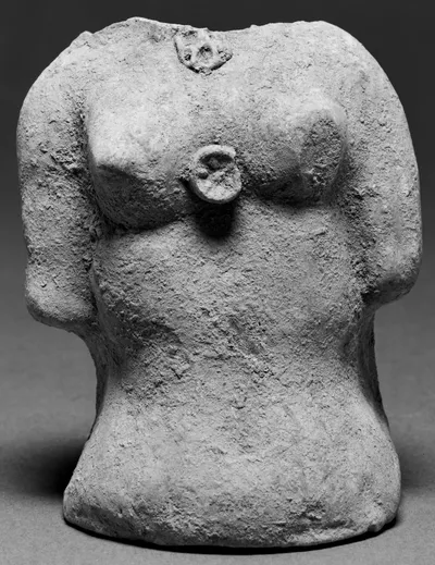 Female Torso