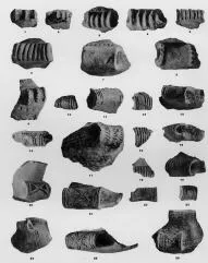 VARIOUS (VUCEDOL)