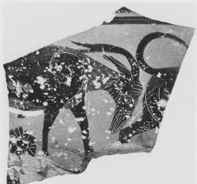 KRATER (?), FRAGMENT (ATHENIAN, BLACK-FIGURE)