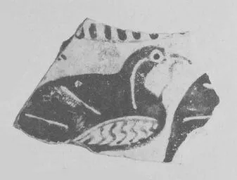 AMPHORA, BELLY, FRAGMENT (EAST GREEK, FIKELLURA)