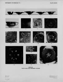 VARIOUS (SOUTH ITALIAN, CAMPANIAN, BLACK GLAZE)