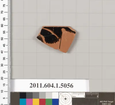 Terracotta fragment of a kylix (drinking cup)