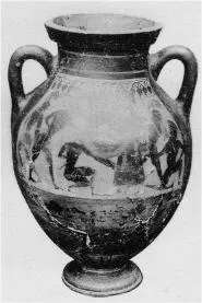 AMPHORA, BELLY, TYPE B (ATHENIAN, BLACK-FIGURE)