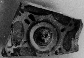 PHIALE, FRAGMENT (ATHENIAN, BLACK-FIGURE)