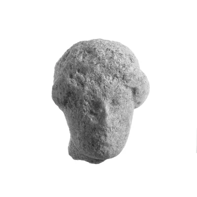 Head of a Woman