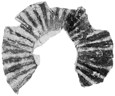 Fragments of a Small Ribbed Kyathos