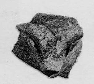 FRAGMENT (CYPRIOT, IRON AGE)