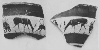 CUP, LITTLE MASTER BAND, FRAGMENTS (ATHENIAN, BLACK-FIGURE)