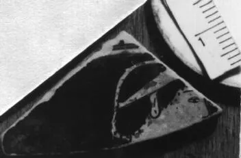CUP, FRAGMENT (ATHENIAN, RED-FIGURE)