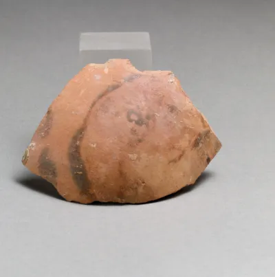 Vase fragment