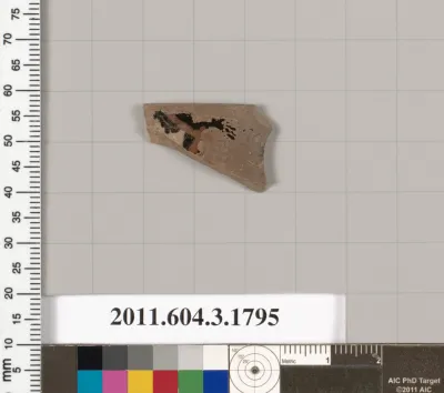 Terracotta rim fragment of a kylix: Lip cup (drinking cup)