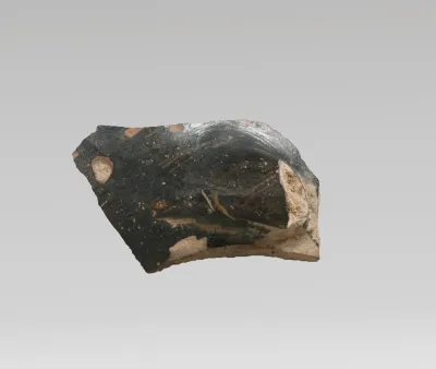 Vase fragment